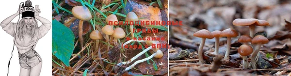 герыч Богданович