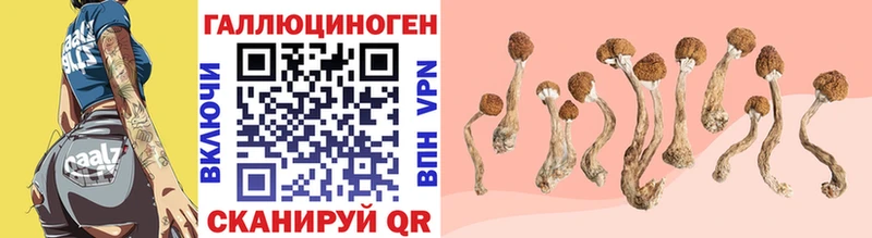Галлюциногенные грибы прущие грибы MEGA ссылки Малмыж